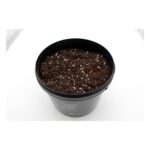 Erdkultur – Living Soil 5 L – Bild 3
